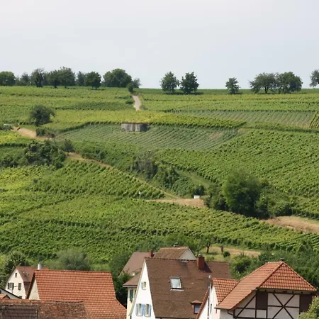Apartment Bioweingut Und Kaufmann