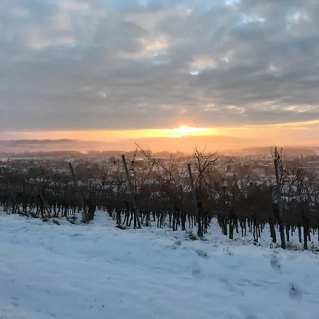 Apartment Bioweingut Und Kaufmann *